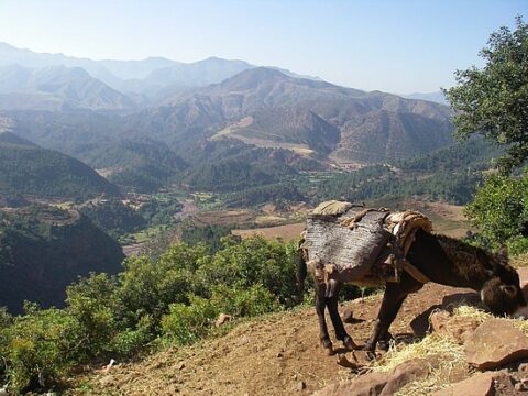 valle zat marruecos 2