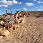 paseo camello agafay