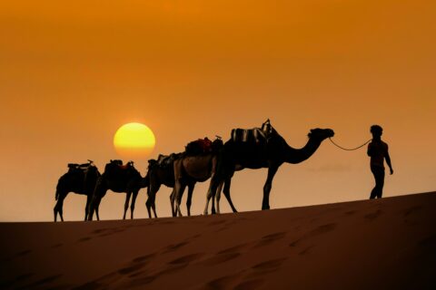 mehdi el marouazi nqqH7np9JGk unsplash