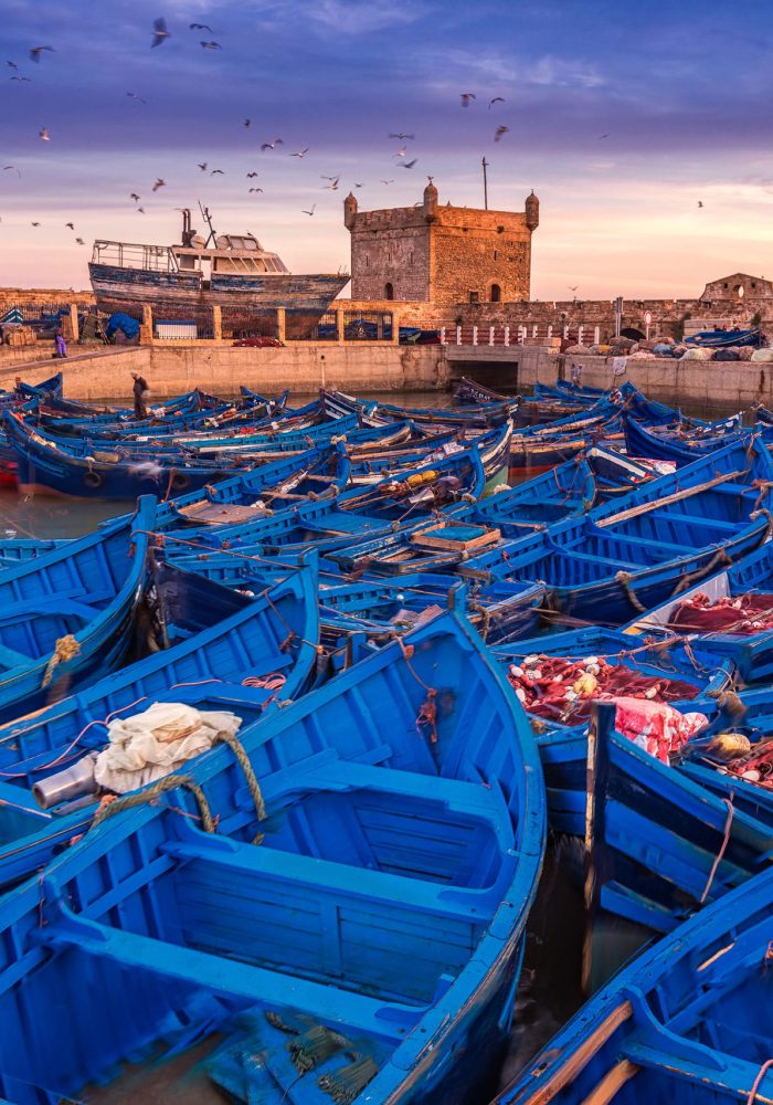 essaouira-puerto-pescadores-excursion-marrakech